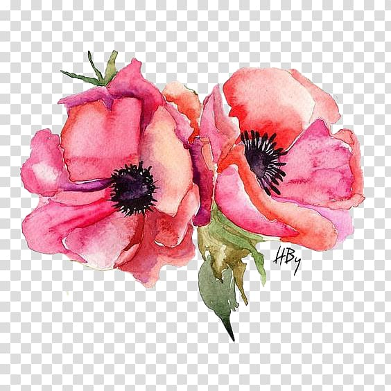 watercolor,painting,canvas,flower,rose family,rosa centifolia,watercolor paint,plant,poppy family,pink,petal,garden roses,flowering plant,floral design,cut flowers,canvas print,anemone,watercolor painting,stock photography,poppy,png clipart,free png,transparent background,free clipart,clip art,free download,png,comhiclipart