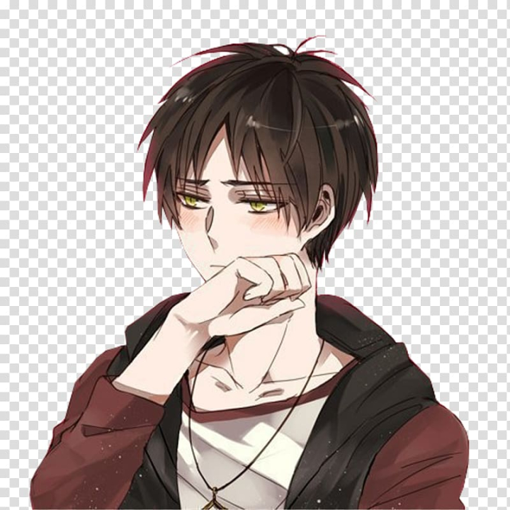 Free: Male anime character, Eren Yeager Levi Mikasa Ackerman Attack on Titan  Anime, sad Anime Boy transparent background PNG clipart 