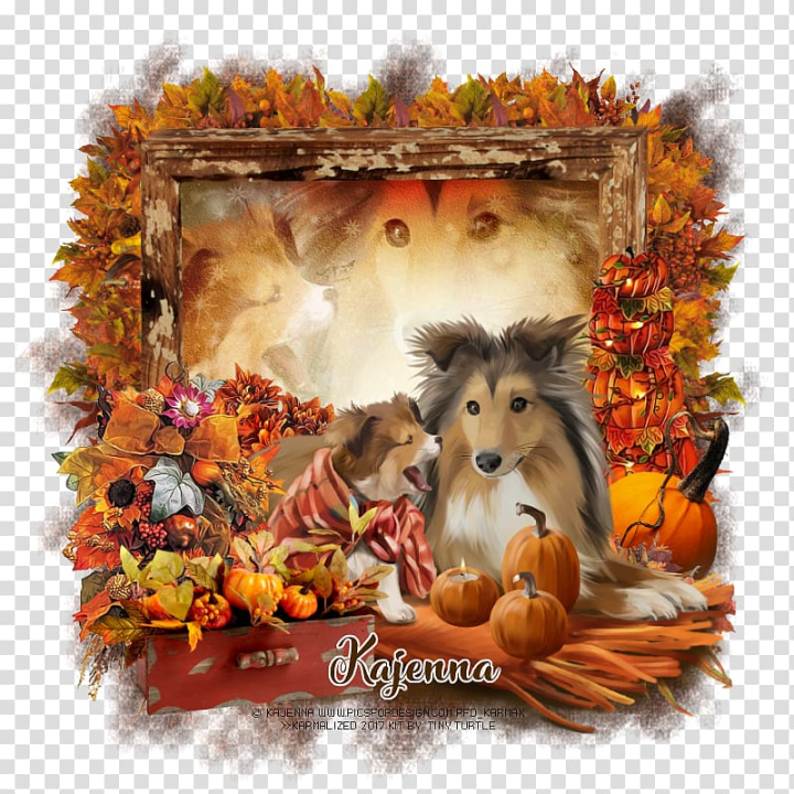 dog,breed,puppy,cayenne,animals,dog like mammal,dog breed,animal,autumn,sheltie,weebly,png clipart,free png,transparent background,free clipart,clip art,free download,png,comhiclipart