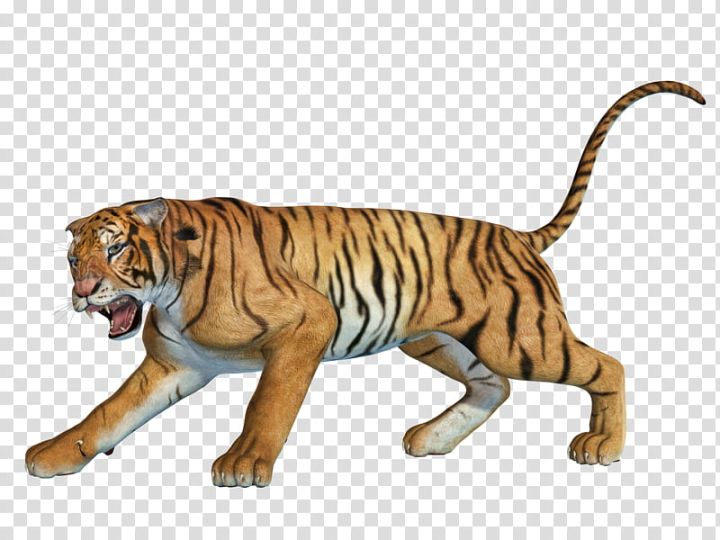 Bengal Sticker Vector PNG, Vector, PSD, and Clipart With Transparent  Background for Free Download