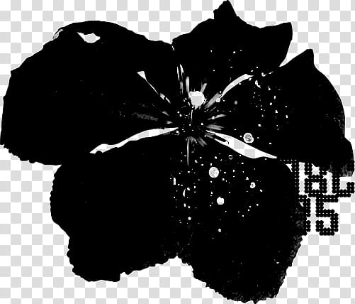 brushset,abstract,flowers,black,petaled,flower,photoshop brushes,application resources,png clipart,free png,transparent background,free clipart,clip art,free download,png,comhiclipart