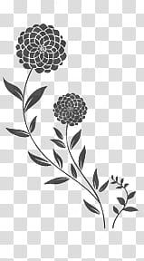 flower,brushes,black,white,abstract,painting,photoshop brushes,application resources,png clipart,free png,transparent background,free clipart,clip art,free download,png,comhiclipart