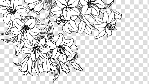 Free: Manga Flowers ColdLove, white flower art transparent background PNG  clipart 