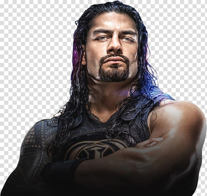 Free: Roman Reigns Roadblock End of the Line transparent background PNG  clipart 