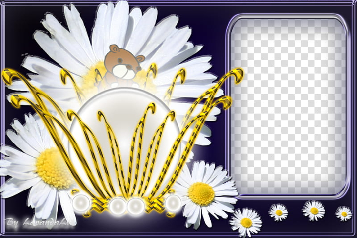 jewellery,frame,white,daisy,flowers,designs & patterns,png clipart,free png,transparent background,free clipart,clip art,free download,png,comhiclipart