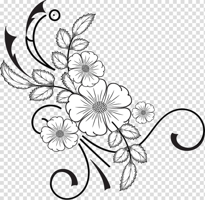 flowers,brushes,white,flower,illustration,photoshop brushes,application resources,png clipart,free png,transparent background,free clipart,clip art,free download,png,comhiclipart