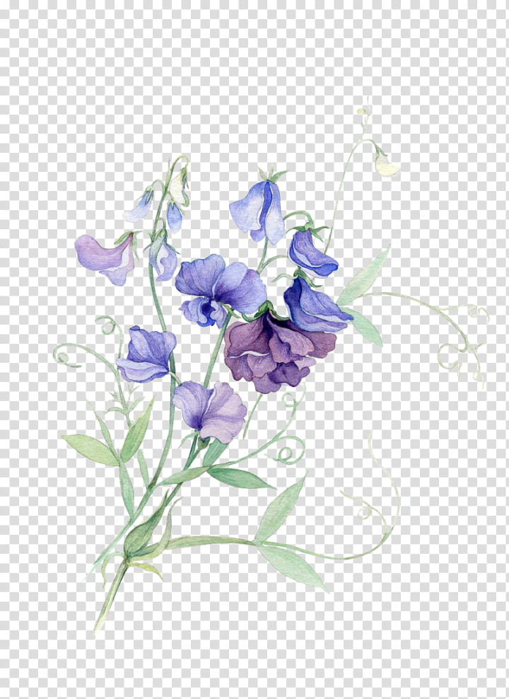flower,purple,petaled,textures,png clipart,free png,transparent background,free clipart,clip art,free download,png,comhiclipart