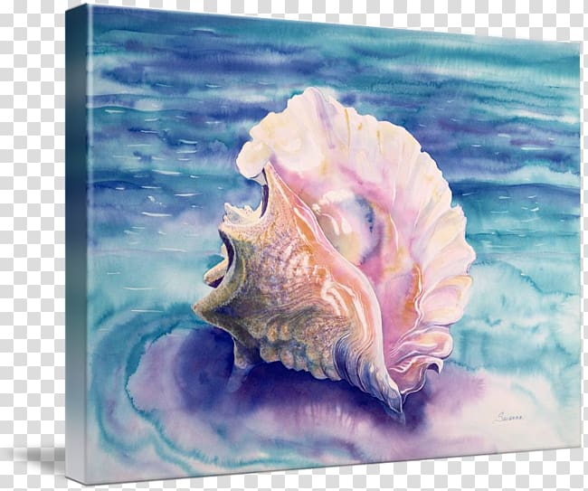 queen,conch,watercolor,painting,canvas,molluscs,watercolor paint,snail,sea snail,organism,nature,gastropods,drawing,conchology,artist,queen conch,watercolor painting,seashell,png clipart,free png,transparent background,free clipart,clip art,free download,png,comhiclipart