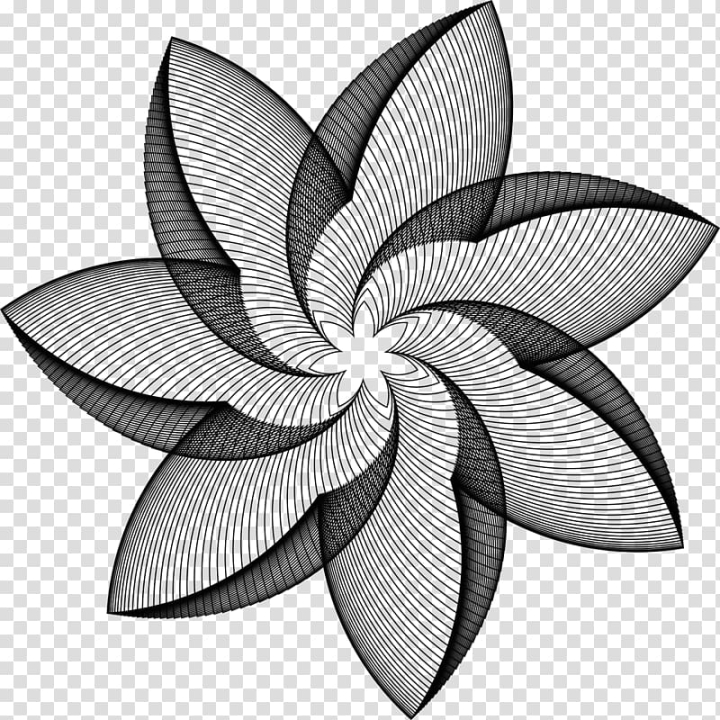 geometric,abstraction,line,floral,symmetry,decorative,color,flower,petal,plant,ornamental,line art,graphic design,geometric graph theory,decorative arts,black and white,geometry,ornament,geometric abstraction,png clipart,free png,transparent background,free clipart,clip art,free download,png,comhiclipart