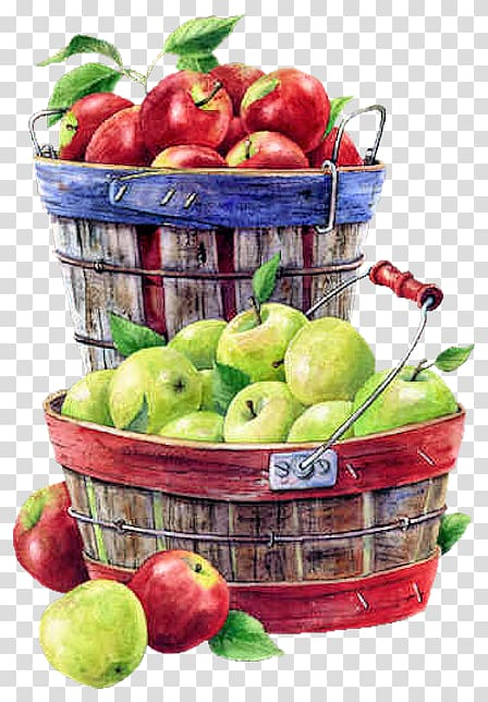 apple,juice,natural foods,food,fruit  nut,superfood,orchard,vegetable,vegetarian food,вышивка яблоки,mcintosh,local food,fruit picking,diet food,cooking apple,basket,яблоко,apple juice,fruit,png clipart,free png,transparent background,free clipart,clip art,free download,png,comhiclipart
