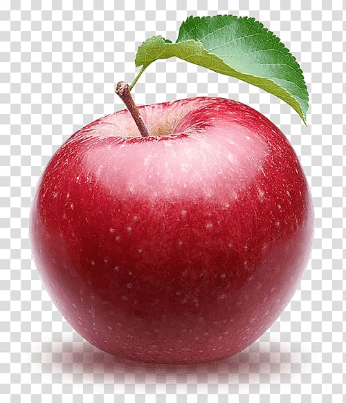Free: Sugar-apple Fruit Desktop , apple transparent background PNG clipart  