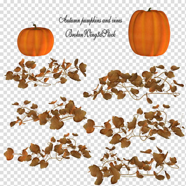 autumn,pumpkins,vines,orange,brown,text,overlay,nature,stock images,png clipart,free png,transparent background,free clipart,clip art,free download,png,comhiclipart