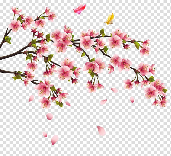 cherry,blossom,branch,world,twig,cherry tree,spring,pink,plant,sakura blossom,tree,wall decal,petal,national flower of the republic of china,irezumi,cut flowers,decal,east asian cherry,flora,floral design,floral emblem,flowering plant,cherry blossom,tattoo,flower,china,png clipart,free png,transparent background,free clipart,clip art,free download,png,comhiclipart