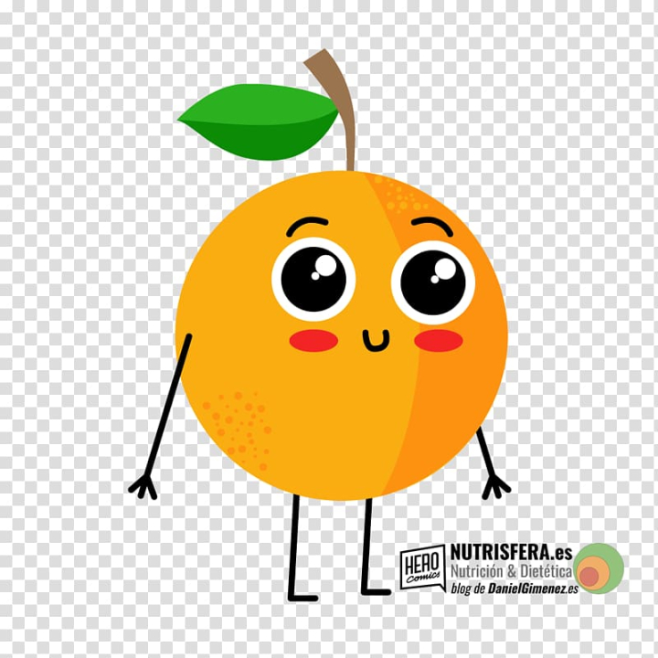 Free: hand drawn orange fruit - nohat.cc