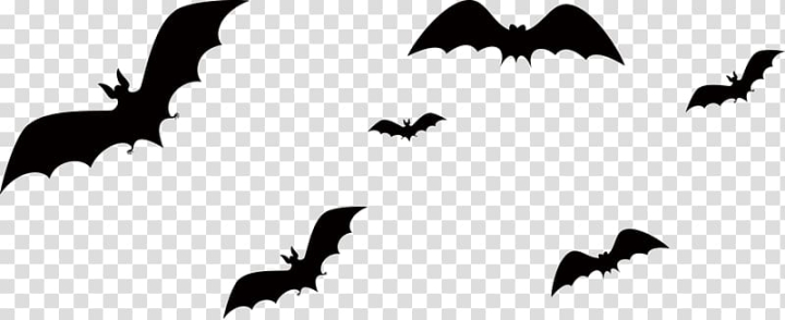 Halloween, halloween, bat, halloween clipart png