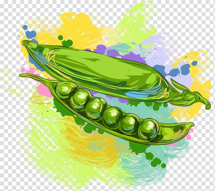 Free: Fruit Vegetable Pea Illustration, peas transparent background PNG  clipart 