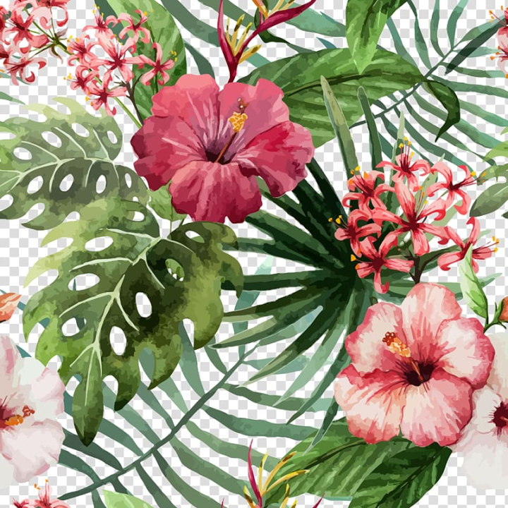 shoeblackplant,hawaiian,hibiscus,material,flower arranging,leaf,happy birthday vector images,annual plant,malvales,flowers,handpainted plants,tropics,pink family,pink flower,plant,red flower,red vector,watercolor flower,shrub,stock photography,nature,material vector,floral design,euclidean vector,flower bouquet,flower pattern,flower vector,flowering plant,hibiscus vector,botanical illustration,mallow family,watercolor flowers,flower,hawaiian hibiscus,drawing,red,pink,white,png clipart,free png,transparent background,free clipart,clip art,free download,png,comhiclipart