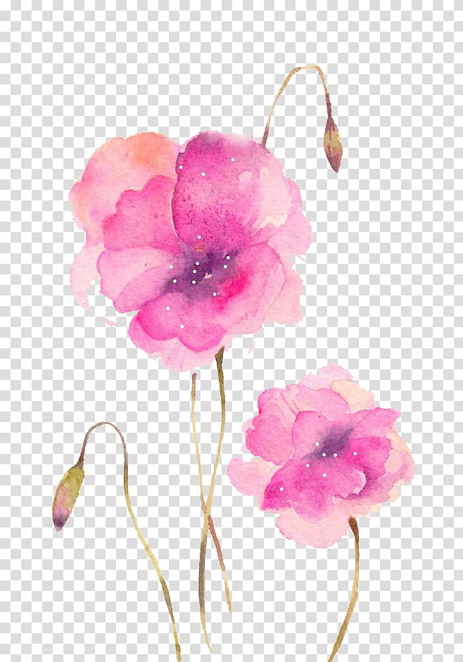 Watercolour Flowers - Watercolor Pink Flowers - CleanPNG / KissPNG