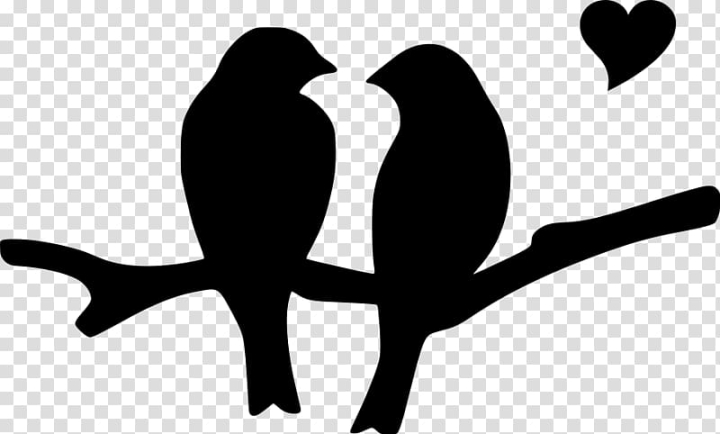 love,white,animals,branch,black,artwork,lovebird,beak,line,human behavior,black and white,wing,bird,silhouette,heart,png clipart,free png,transparent background,free clipart,clip art,free download,png,comhiclipart