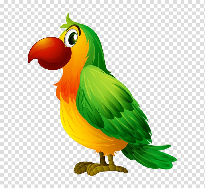 Free: Bird Parrot Illustration, Cartoon hand colored parrot side  transparent background PNG clipart 