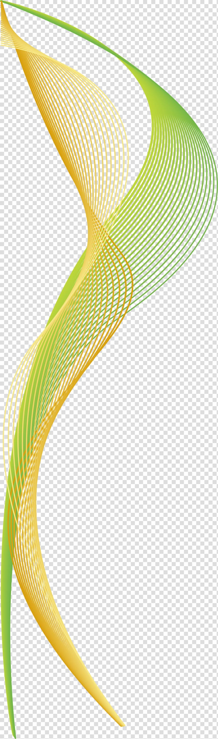 green,euclidean,line,angle,simple,color,abstract lines,light,green tea,dream,plot,twist,vecteur,resource,wing,science,green leaf,background green,curved arrow,curved lines,graphic design,gratis,yellow,curve,euclidean vector,arc,green line,stands,illustration,png clipart,free png,transparent background,free clipart,clip art,free download,png,comhiclipart