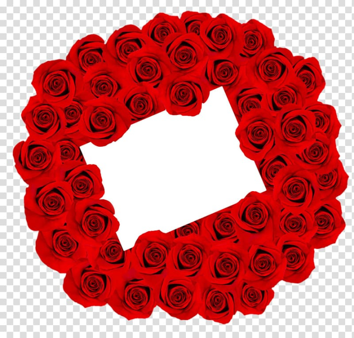 royalty,rose,frame,love,text,heart,greeting card,love couple,love birds,flower,material,valentine s,royaltyfree,love background,rose order,flowers,rose petal,png picture material,free stock png,roses,lovers,love stickers,valentine s day,rose family,valentines day,stockxchng,red,elements,encyclopedia,film frame,free,free png elements,garden roses,life,life encyclopedia,cut flowers,petal,day,stock photography,picture frame,love rose,png clipart,free png,transparent background,free clipart,clip art,free download,png,comhiclipart