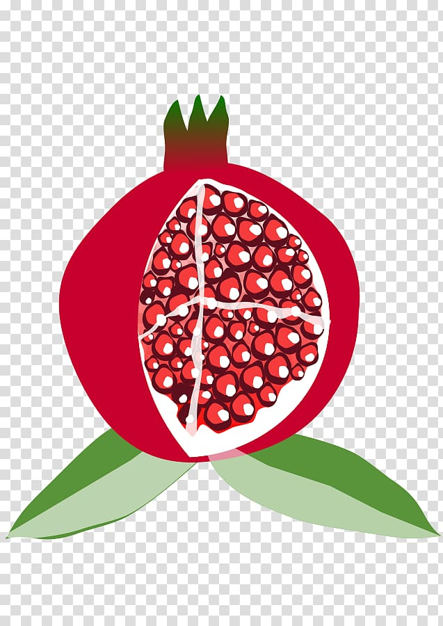 Fruit PNG Transparent Images Free Download, Vector Files