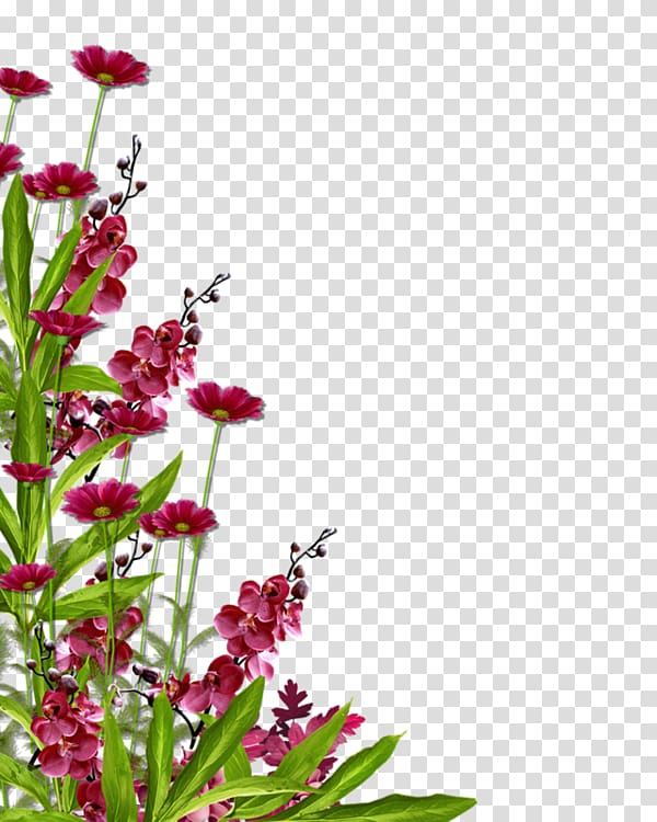 Free: Flower garden , flower transparent background PNG clipart 