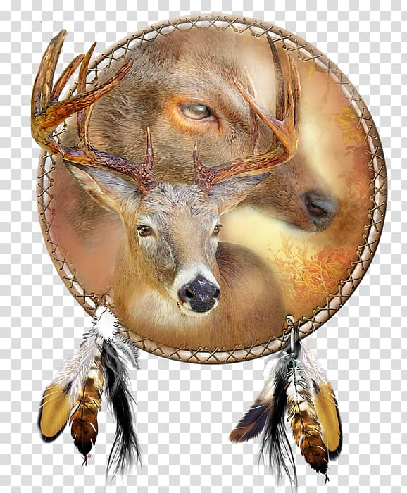 watercolor,painting,oil,paint,dream,catcher,boho,antler,fauna,wildlife,snout,contemporary art,deer,graphic arts,graphic designer,printmaking,organism,membrane winged insect,drawing,art museum,work of art,watercolor painting,oil paint,dream catcher,png clipart,free png,transparent background,free clipart,clip art,free download,png,comhiclipart