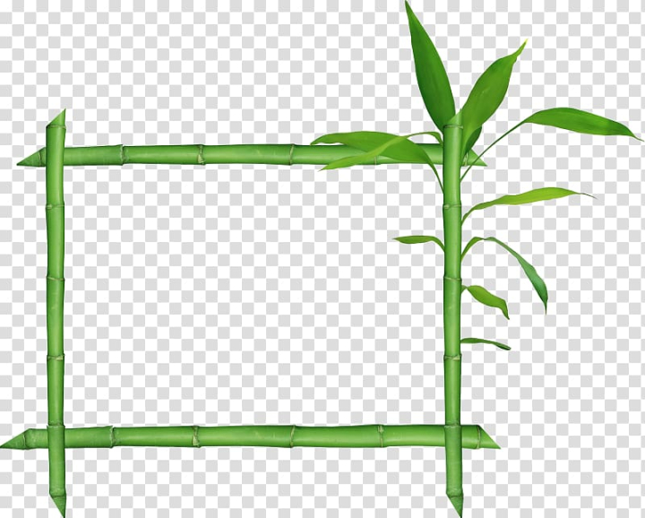 raster,graphics,frame,leaf,rectangle,grass,plant stem,picture frames,tree,plant,nature,line art,line,grass family,film frame,user interface,bamboo,raster graphics,png clipart,free png,transparent background,free clipart,clip art,free download,png,comhiclipart