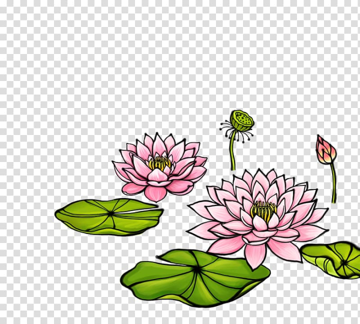 Free: Watercolor painting Illustration, Lotus lotus transparent background  PNG clipart 