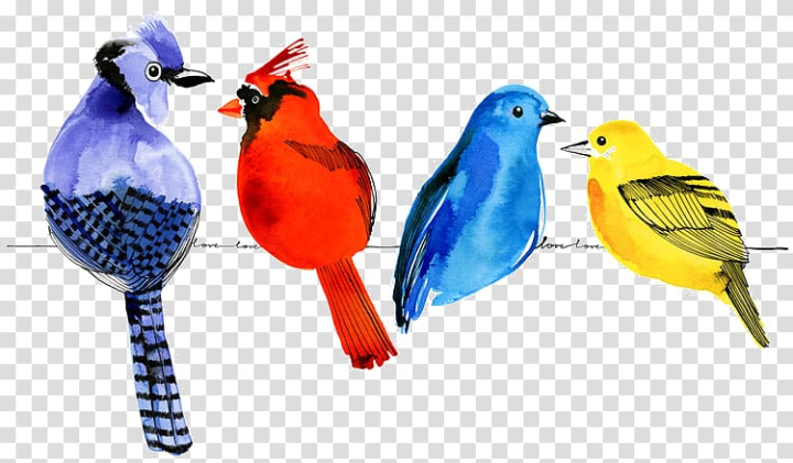 watercolor,painting,animals,feather,paint,watercolor bird,parrot cartoon,funny animal,collage,cartoon bird,beak,bird,watercolor painting,parrot,drawing,cartoon,png clipart,free png,transparent background,free clipart,clip art,free download,png,comhiclipart