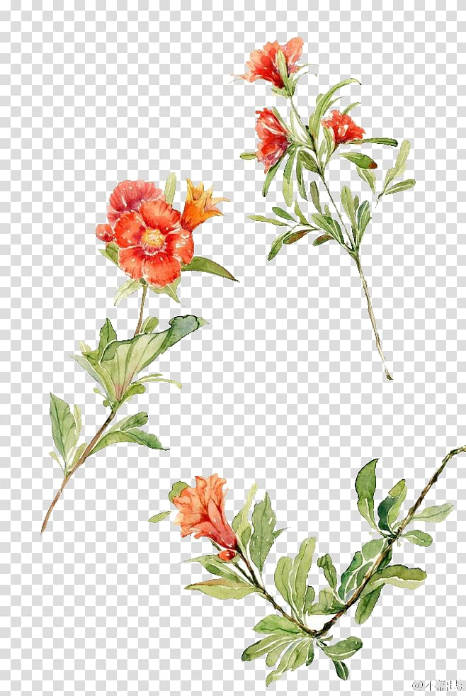 floral,design,watercolor,painting,herbaceous plant,watercolor leaves,flower arranging,branch,plant stem,cartoon,flower,shrub,watercolor flower,plant,pink flower,petal,watercolor flowers,red,nature,cecil kennedy,cut flowers,decoration,flora,floristry,flower vector,flowering plant,flowerpot,watercolour flowers,watercolour,flowers,floral design,watercolor painting,drawing,illustration,green,leafed,plants,png clipart,free png,transparent background,free clipart,clip art,free download,png,comhiclipart