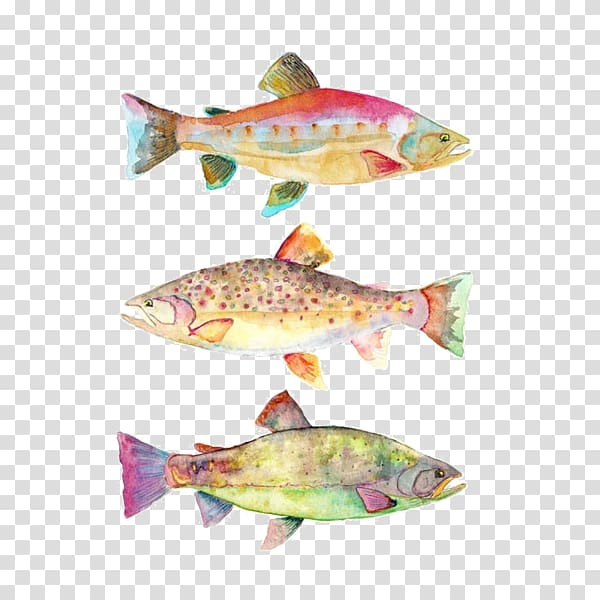 watercolor,painting,koi,fish,fish products,still life,paint,oil paint,printmaking,perch,oil painting,loriso fishing center gbr,largemouth bass,fishing bait,drawing,work of art,watercolor painting,koi fish,png clipart,free png,transparent background,free clipart,clip art,free download,png,comhiclipart