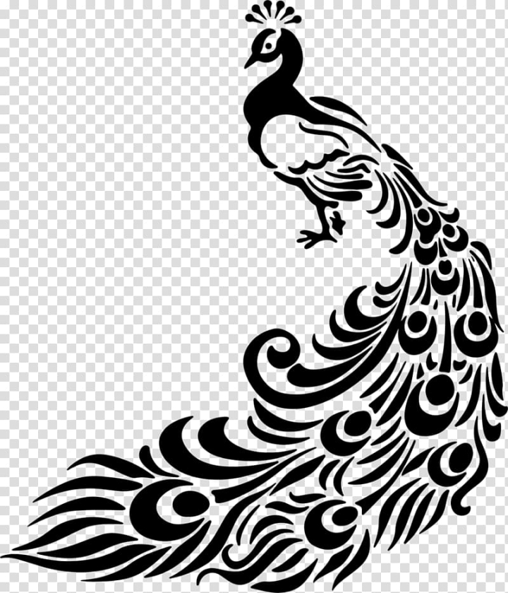 line,peacock,feather,peacock feather,galliformes,chicken,monochrome,vertebrate,wildlife,fictional character,painting,royaltyfree,silhouette,bird,black,visual arts,rooster,phasianidae,tree,monochrome photography,black and white,beak,artwork,wing,drawing,line art,peafowl,png clipart,free png,transparent background,free clipart,clip art,free download,png,comhiclipart