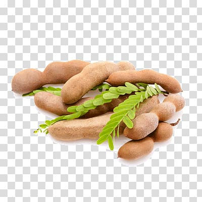 tamarind,seed,fruit,tree,others,miscellaneous,food,retail,grocery store,superfood,sausage,imli,zipzoin,vienna sausage,индийский финик,тамаринд,stock photography,bockwurst,ncr online grocery store,knackwurst,frankfurter würstchen,тамаринд индийский,tamarind seed,fruit tree,png clipart,free png,transparent background,free clipart,clip art,free download,png,comhiclipart