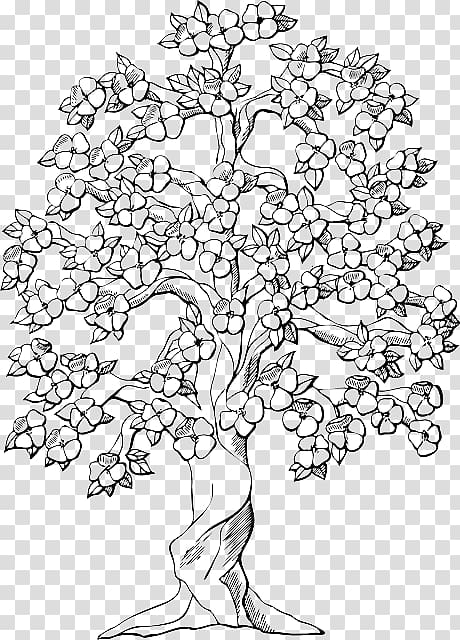 coloring,book,colouring,pages,tree,oak,trunk,eating,grapes,sketch,white,child,leaf,branch,monochrome,symmetry,plant stem,adult,color,flower,spring,tree of life,plant,palm trees,page,visual arts,organism,line art,area,autumn,black and white,coloring book,colouring pages,drawing,flora,floral design,flowering plant,line,woody plant,png clipart,free png,transparent background,free clipart,clip art,free download,png,comhiclipart