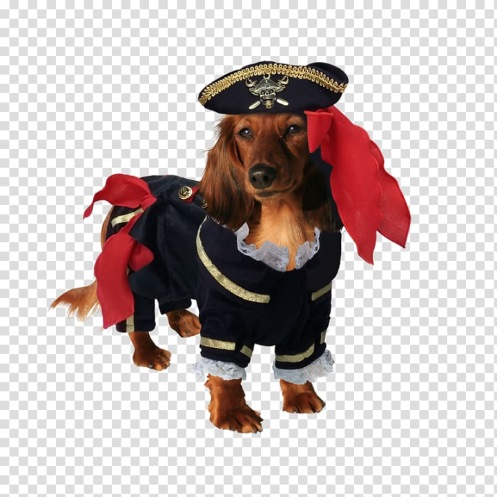 Buccaneer Pirate Pet Dog Costume