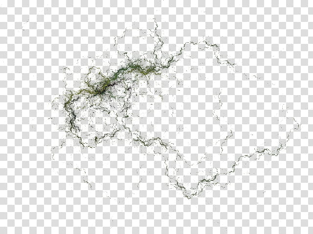 vines,green,smoke,nature,png clipart,free png,transparent background,free clipart,clip art,free download,png,comhiclipart