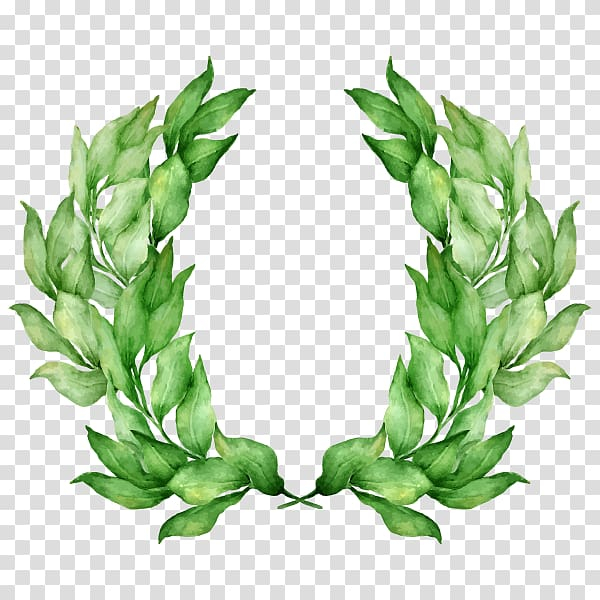 laurel,wreath,drawing,watercolor,painting,graphics,tears,tiger,watercolor painting,leaf,royaltyfree,laurel wreath,aquarium decor,floral design,plant,stock photography,tree,bay laurel,png clipart,free png,transparent background,free clipart,clip art,free download,png,comhiclipart