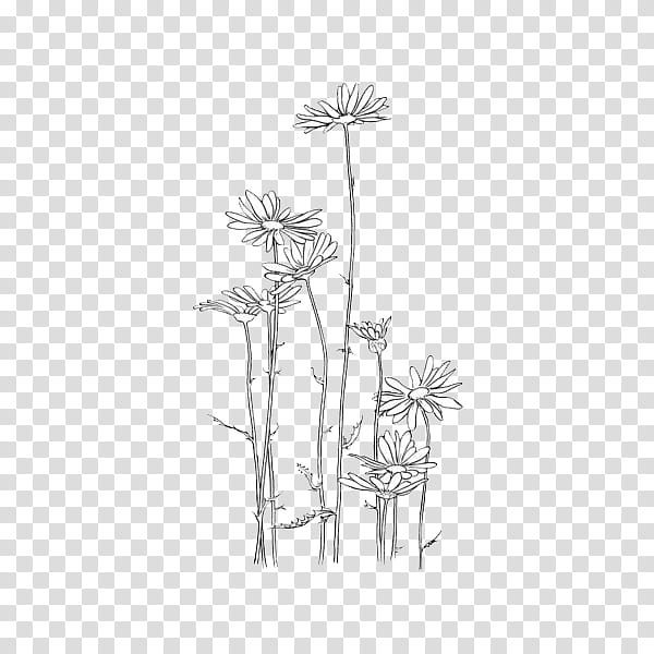 3d Black Flowers PNG, Vector, PSD, and Clipart With Transparent Background  for Free Download