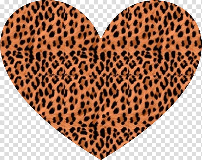 Leopard heart on a transparent background Vector Image