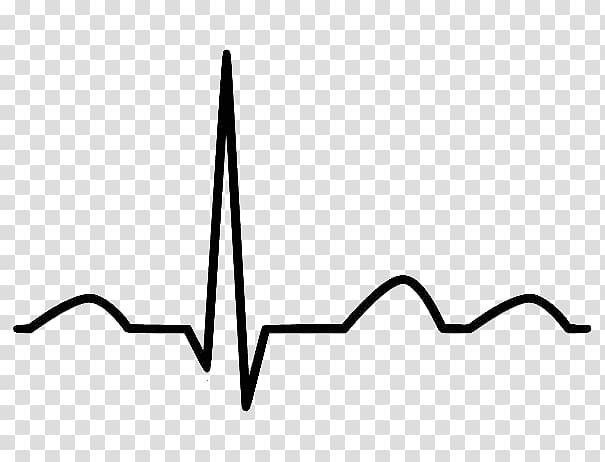 Free Electrocardiography Cardiology Heart Sinus Rhythm Ecg