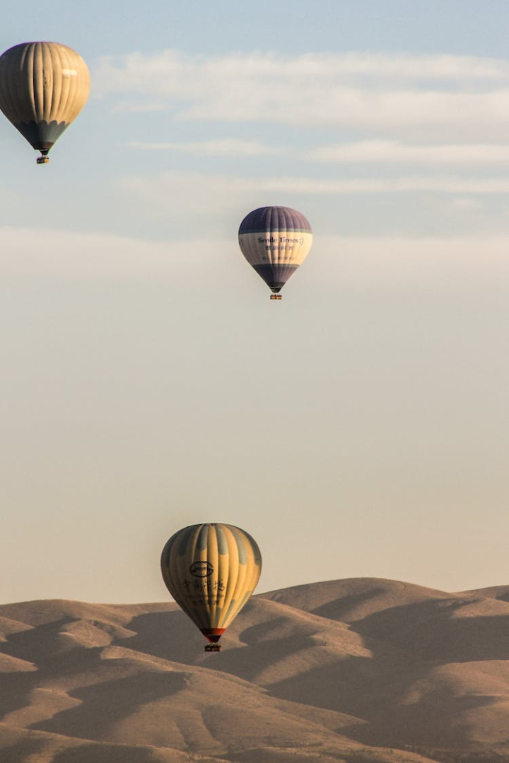 aircrafts,flying,hot air balloons,sky,vertical shot