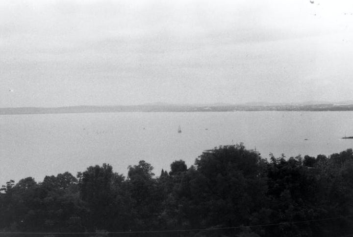 35mm,analog photography,balaton,black and white,film photo,film photography,lake,landscape,sailboat,water