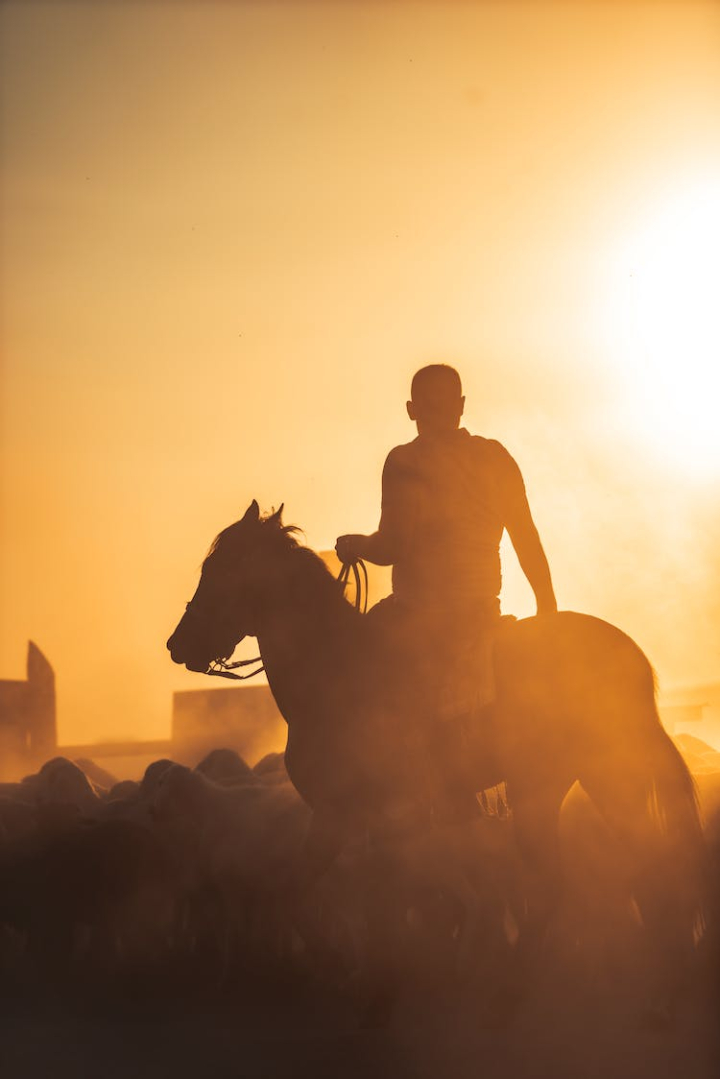 dawn,dusk,horse,horseback riding,man,person,silhouette,vertical shot