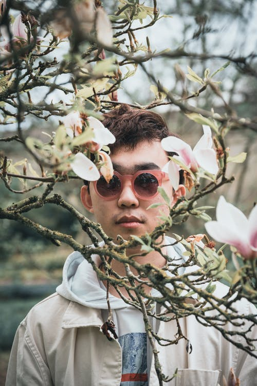 photograph,vision care,white,sunglasses,twig,street fashion,eyewear,event,petal,people in nature,pexels