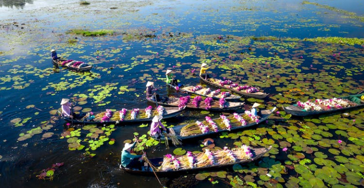 boats,flowers,high angle view,lake,paddling,people,water