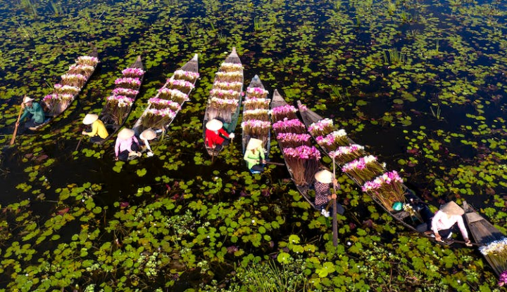 boats,flowers,high angle view,lake,people,plants,water