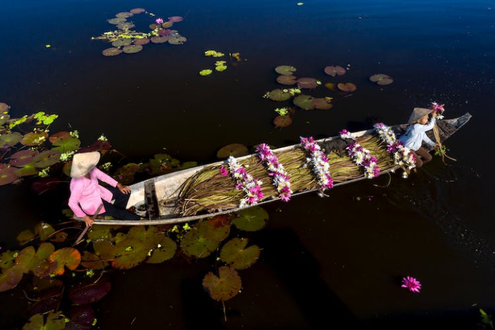 boat,flowers,hats,high angle view,people,sitting,water,water lilies